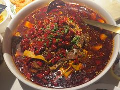 -三强鸽子(中原路店)