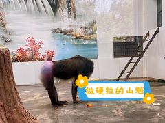 -西安秦岭野生动物园