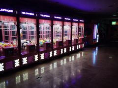 -天幕新彩云国际影城(激光巨幕店)