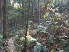 -青龙山国家森林公园