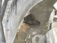 -灵玲国际马戏城