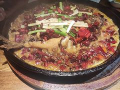 老板恋上鱼-老板恋上鱼(高新万达店)