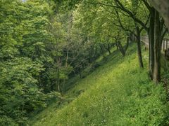 -西湖风景区-江洋畈生态公园