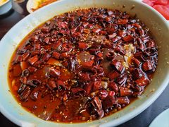 -陈麻婆豆腐总店