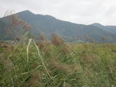 -泸沽肴(泸沽湖大洛水村农村信用社旁店)