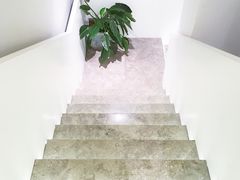 -青梅酒肆PLUS(长白仙岛北路店)