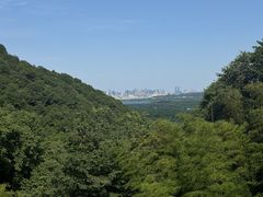 -韬光茶庵