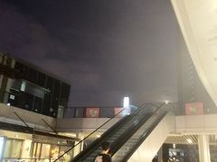 -琥珀老六龙虾(四里河店)