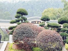 -岳麓山风景名胜区