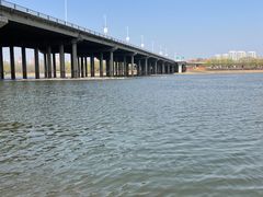 -长白岛森林公园