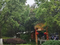 -白马涧龙池景区