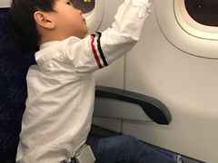 -珠海横琴长隆《卡卡虎奇遇记》