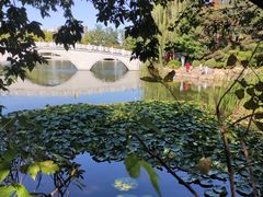 -大连植物园