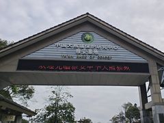 -中国大熊猫保护研究中心雅安碧峰峡基地