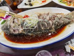 -清雅轩·清真菜·春饼•烤鸭(滑翔店)