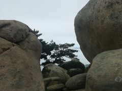 -崂山仰口游览区