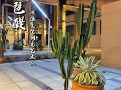 -珠江琶醍