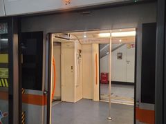 -杨高南路(地铁站)