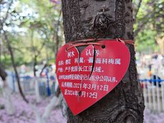 -济南森林公园