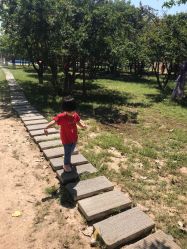 -上美四季动物农场