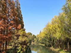 -昆山城市生态森林公园