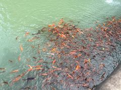 -楠溪江风景名胜区