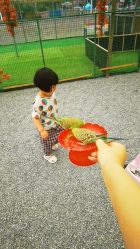 -萌宠亲子动物乐园(槐房万达店)