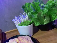 -捞围鲜·港式打边炉(海阳路店)