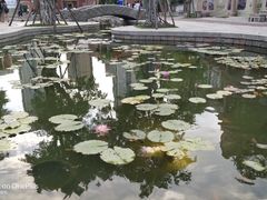 -晋江五店市传统文化旅游区