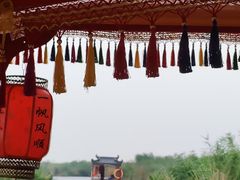 -白洋淀景区