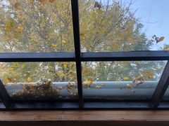 -VOYAGE COFFEE(北锣鼓巷店)