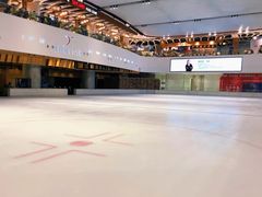 -TheRink大零溜冰场(IFS国金中心店)