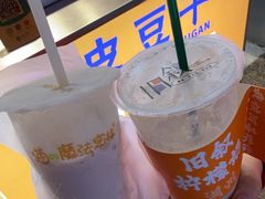 -猫的魔法密林(衣裳街店)