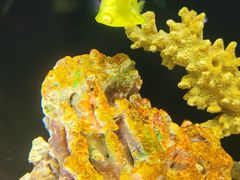 -上海海洋水族馆
