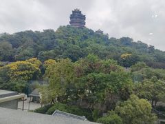 -七欣天香辣蟹火锅(南京建宁路大观天地店)