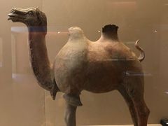 -敦煌市博物馆
