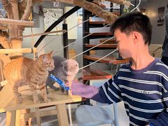 -豆逗聊愈猫阁Easy Life