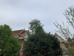 -报恩禅寺