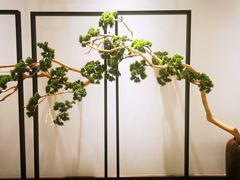 -楚禾宴·家宴(光谷大道店)