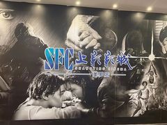 -SFC动漫主题影院(美罗城店)