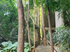 -阳台山森林公园