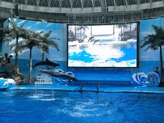 -海合安成都极地海洋公园