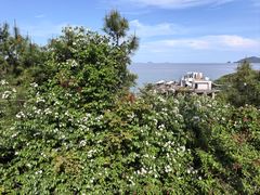 -宁波松兰山滨海旅游度假区