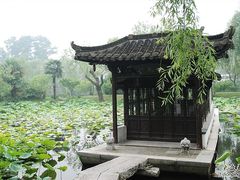 -盆景园(扬州大运河文化旅游度假区)
