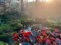 -Chom Cafe and Restaurant