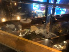 -同仁四季椰子鸡(海岸城天利店)