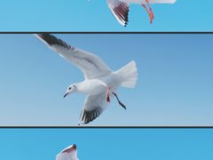 -海埂大坝