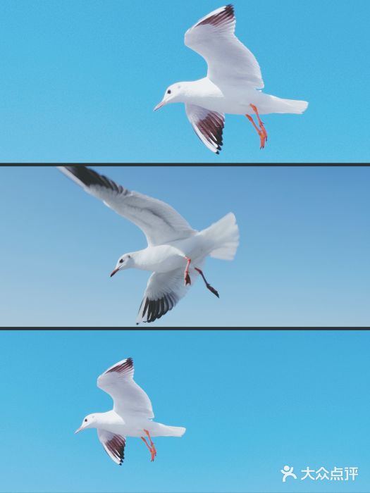 海埂大坝图片