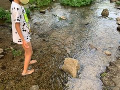 -白水寺森林公园