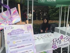 -嘉定紫藤园
